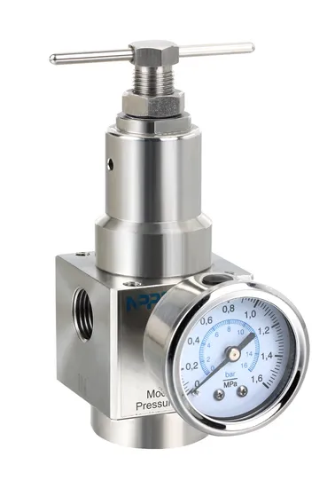  Sr200-02 1/4" Port Air Treatment Unit Stainless Steel 316L Air Filter Pneumatic Air Filter Regulator Air Regulator
